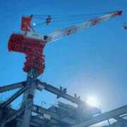 ヒメ日記 2024/12/10 10:08 投稿 よしの 松戸人妻城