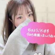 ヒメ日記 2025/04/08 13:29 投稿 東雲 みさき カサノヴァ