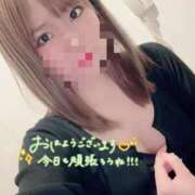 ヒメ日記 2026/04/09 13:39 投稿 東雲 みさき カサノヴァ