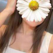 ヒメ日記 2025/07/20 16:10 投稿 星宮 華恋人(カレント)