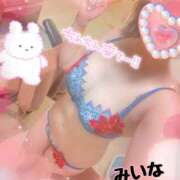 ヒメ日記 2025/04/14 10:04 投稿 若月　みいな スタイリッシュ秘書