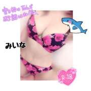 ヒメ日記 2025/06/03 17:04 投稿 若月　みいな スタイリッシュ秘書