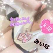 ヒメ日記 2025/11/30 10:04 投稿 若月　みいな スタイリッシュ秘書