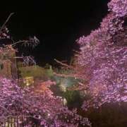 ヒメ日記 2026/01/27 19:06 投稿 若月　みいな スタイリッシュ秘書