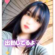 ヒメ日記 2026/08/20 11:00 投稿 若月　みいな スタイリッシュ秘書