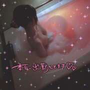 ヒメ日記 2025/08/17 19:31 投稿 ティナ Tiara 姫路