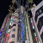 ヒメ日記 2024/12/11 11:26 投稿 レオナ Club 妻