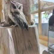 ヒメ日記 2024/12/23 11:30 投稿 レオナ Club 妻