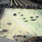 ヒメ日記 2025/01/20 11:20 投稿 レオナ Club 妻