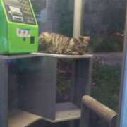 ヒメ日記 2025/01/25 11:43 投稿 レオナ Club 妻