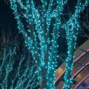 ヒメ日記 2025/02/12 12:03 投稿 レオナ Club 妻