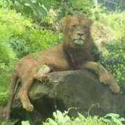 ヒメ日記 2025/02/22 10:51 投稿 レオナ Club 妻