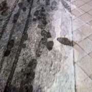 ヒメ日記 2025/03/05 11:09 投稿 レオナ Club 妻