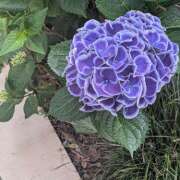 ヒメ日記 2025/05/31 10:54 投稿 レオナ Club 妻