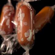 ヒメ日記 2025/06/21 11:07 投稿 レオナ Club 妻