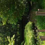 ヒメ日記 2025/08/29 10:25 投稿 レオナ Club 妻