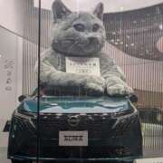 ヒメ日記 2025/11/08 10:00 投稿 レオナ Club 妻