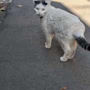 ヒメ日記 2025/12/09 10:46 投稿 レオナ Club 妻