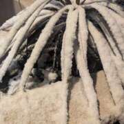 ヒメ日記 2026/02/10 10:43 投稿 レオナ Club 妻