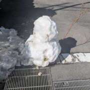 ヒメ日記 2026/02/11 10:37 投稿 レオナ Club 妻