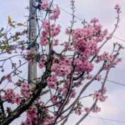 ヒメ日記 2026/03/21 10:05 投稿 レオナ Club 妻