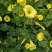 ヒメ日記 2026/03/31 10:55 投稿 レオナ Club 妻