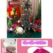 ヒメ日記 2025/12/07 17:52 投稿 るか マダム可憐