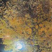 ヒメ日記 2024/12/10 23:57 投稿 さつき 吉祥寺大人めシンデレラ（シンデレラグループ）