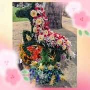 ヒメ日記 2026/02/22 12:52 投稿 寺本頼子 五十路マダム姫路店