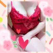 ヒメ日記 2026/02/28 15:20 投稿 寺本頼子 五十路マダム姫路店