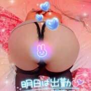 ヒメ日記 2026/01/26 05:25 投稿 あゆり 熟女家 ミナミエリア店