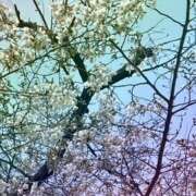 財前 ありがとうございました❤️ おふくろ