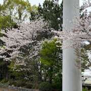 財前 おはようございます😊 おふくろ