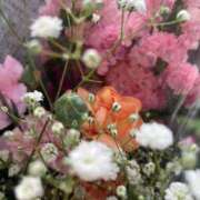 ヒメ日記 2025/04/30 12:02 投稿 うか ぷるるん小町梅田店