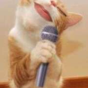 ヒメ日記 2025/05/12 19:44 投稿 うか ぷるるん小町梅田店