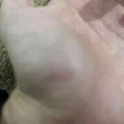 ヒメ日記 2025/01/13 08:01 投稿 水戸あずさ 華椿