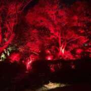 ヒメ日記 2024/12/26 18:27 投稿 れみか 待ちナビ