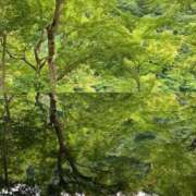 ヒメ日記 2024/12/31 19:35 投稿 れみか 待ちナビ