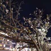 ヒメ日記 2025/03/27 22:15 投稿 れみか 待ちナビ