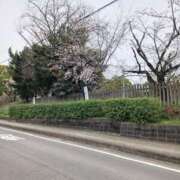 ヒメ日記 2025/03/29 17:05 投稿 れみか 待ちナビ