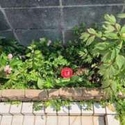 ヒメ日記 2025/03/29 21:03 投稿 れみか 待ちナビ