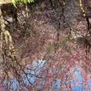 ヒメ日記 2025/04/01 19:45 投稿 れみか 待ちナビ