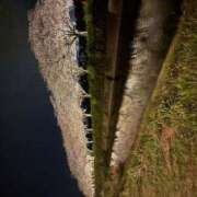 ヒメ日記 2025/04/02 14:46 投稿 れみか 待ちナビ