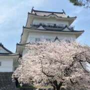 ヒメ日記 2025/04/11 19:33 投稿 れみか 待ちナビ