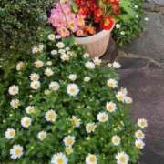 ヒメ日記 2025/04/19 23:25 投稿 れみか 待ちナビ