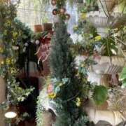 ヒメ日記 2025/04/26 17:35 投稿 れみか 待ちナビ