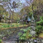 ヒメ日記 2025/06/10 19:49 投稿 れみか 待ちナビ