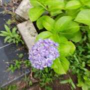 ヒメ日記 2025/06/14 16:55 投稿 れみか 待ちナビ