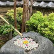 ヒメ日記 2025/06/24 08:45 投稿 れみか 待ちナビ