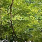 ヒメ日記 2025/09/05 20:18 投稿 れみか 待ちナビ